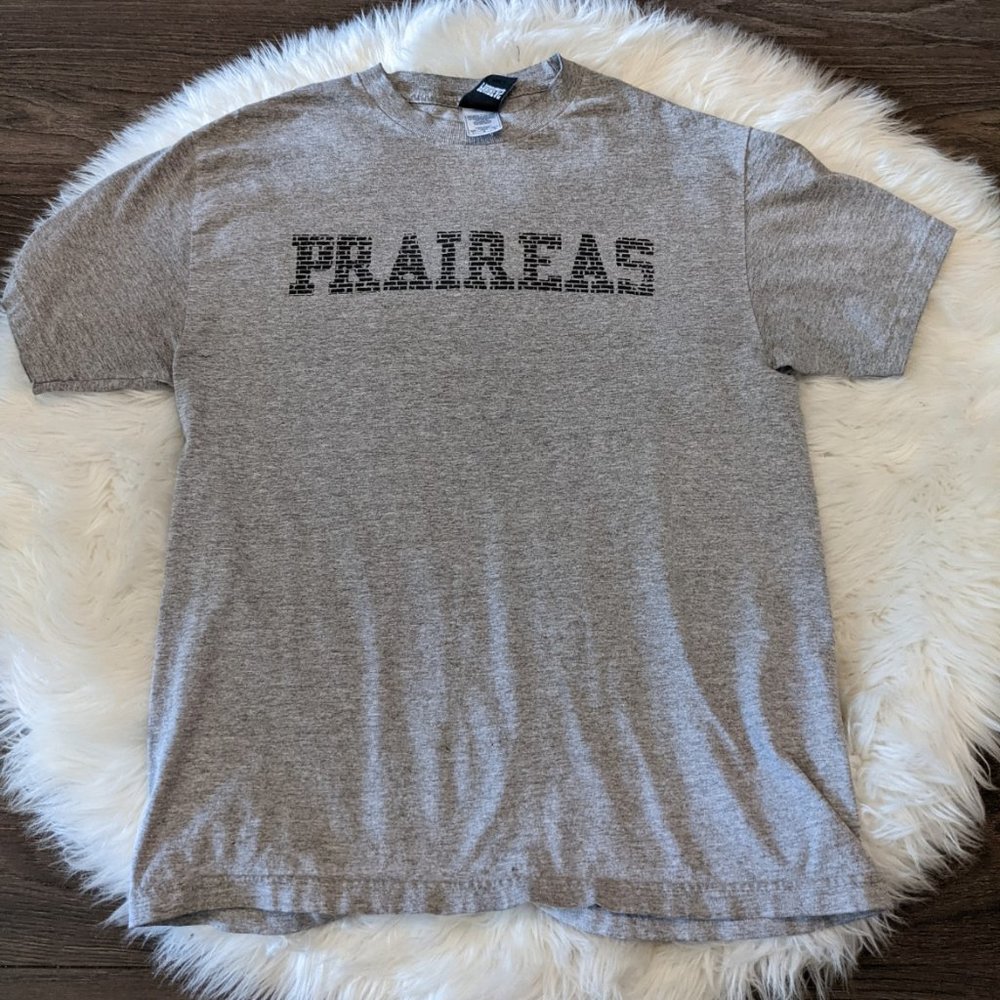 Praireas - Mens Large T Shirt - Grey